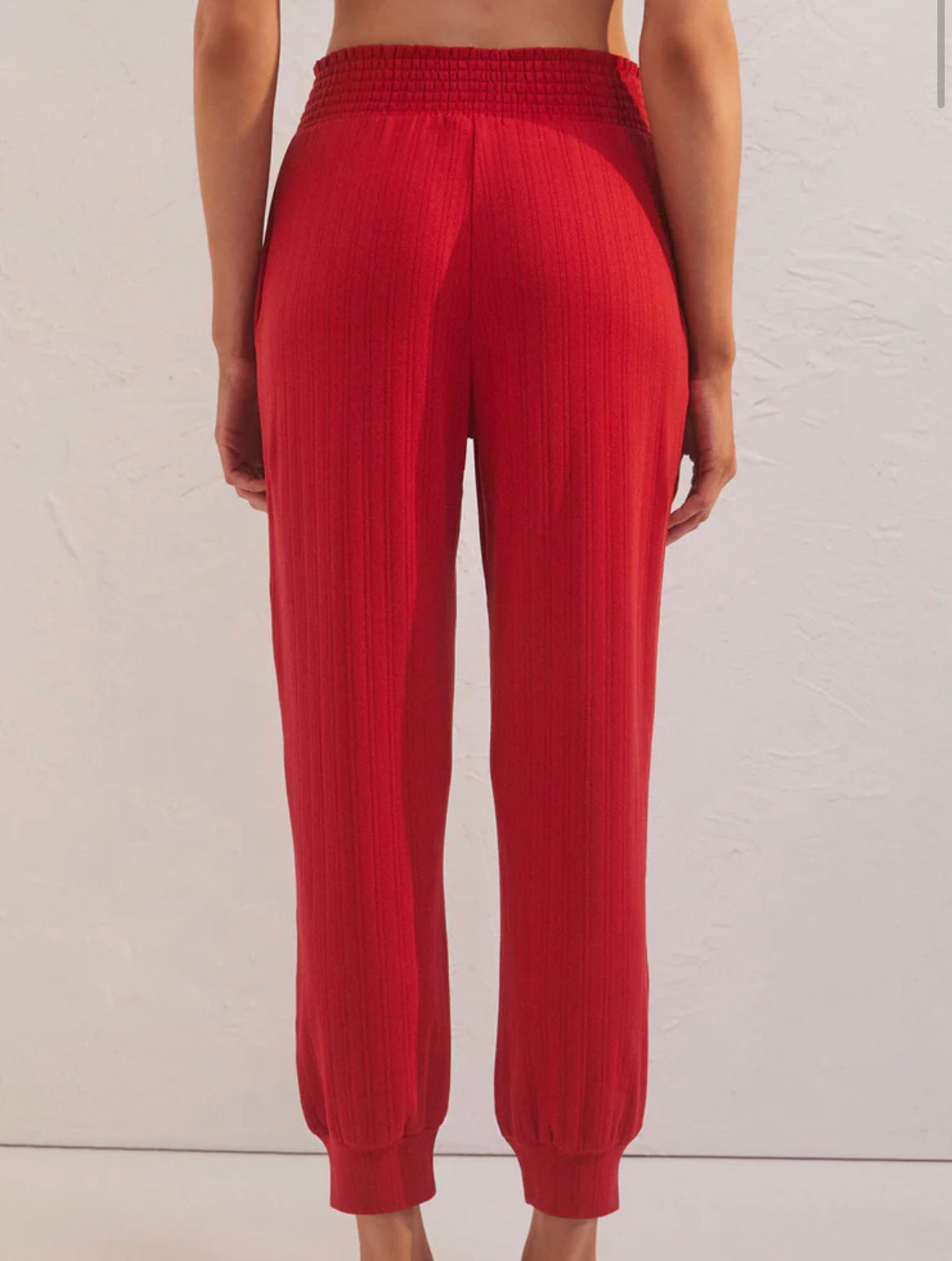 HOLLY POINTELLE JOGGER