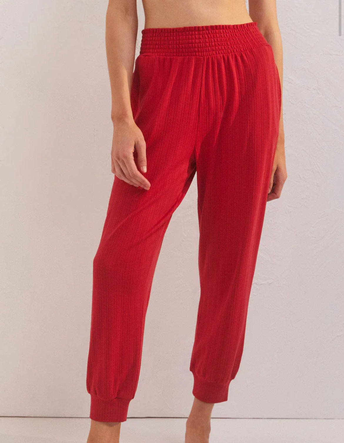 HOLLY POINTELLE JOGGER