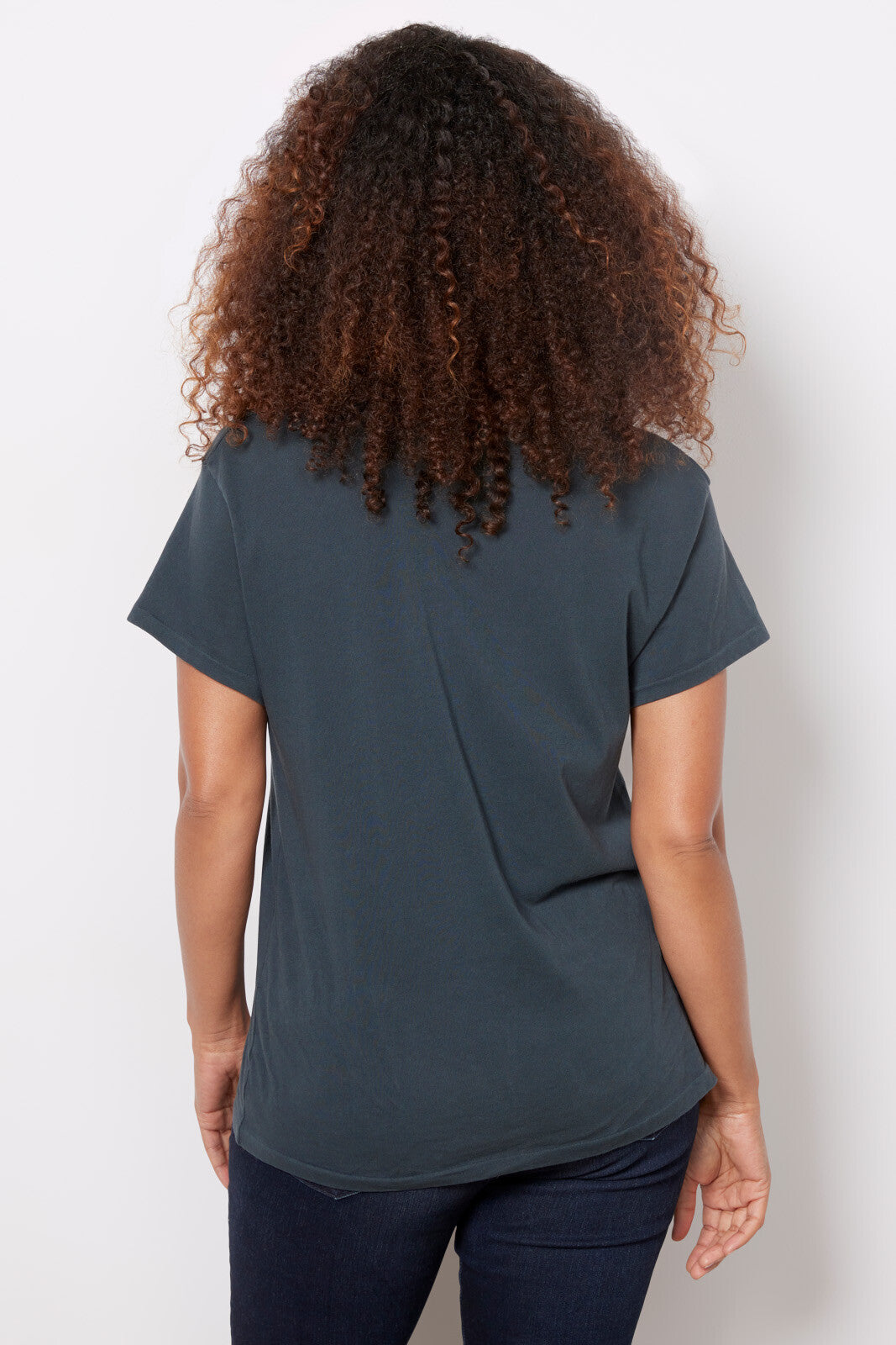 CHRIS STAPLETON HORSE AND CANYONS TOUR TEE