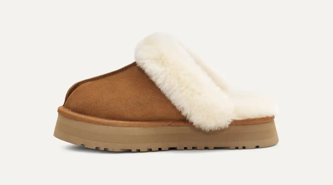 Women’s Disquette in Chestnut