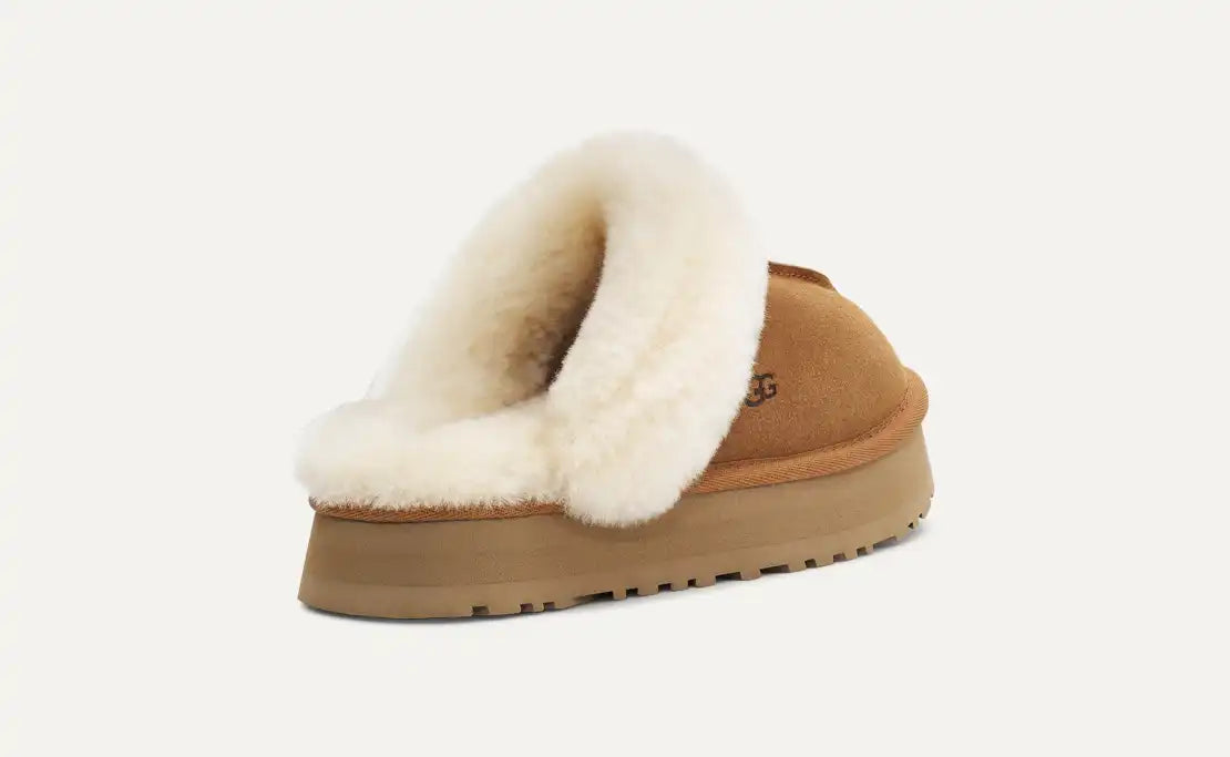 Women’s Disquette in Chestnut