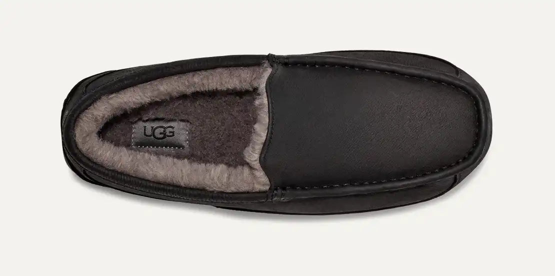 Men’s Ascot Matte Leather