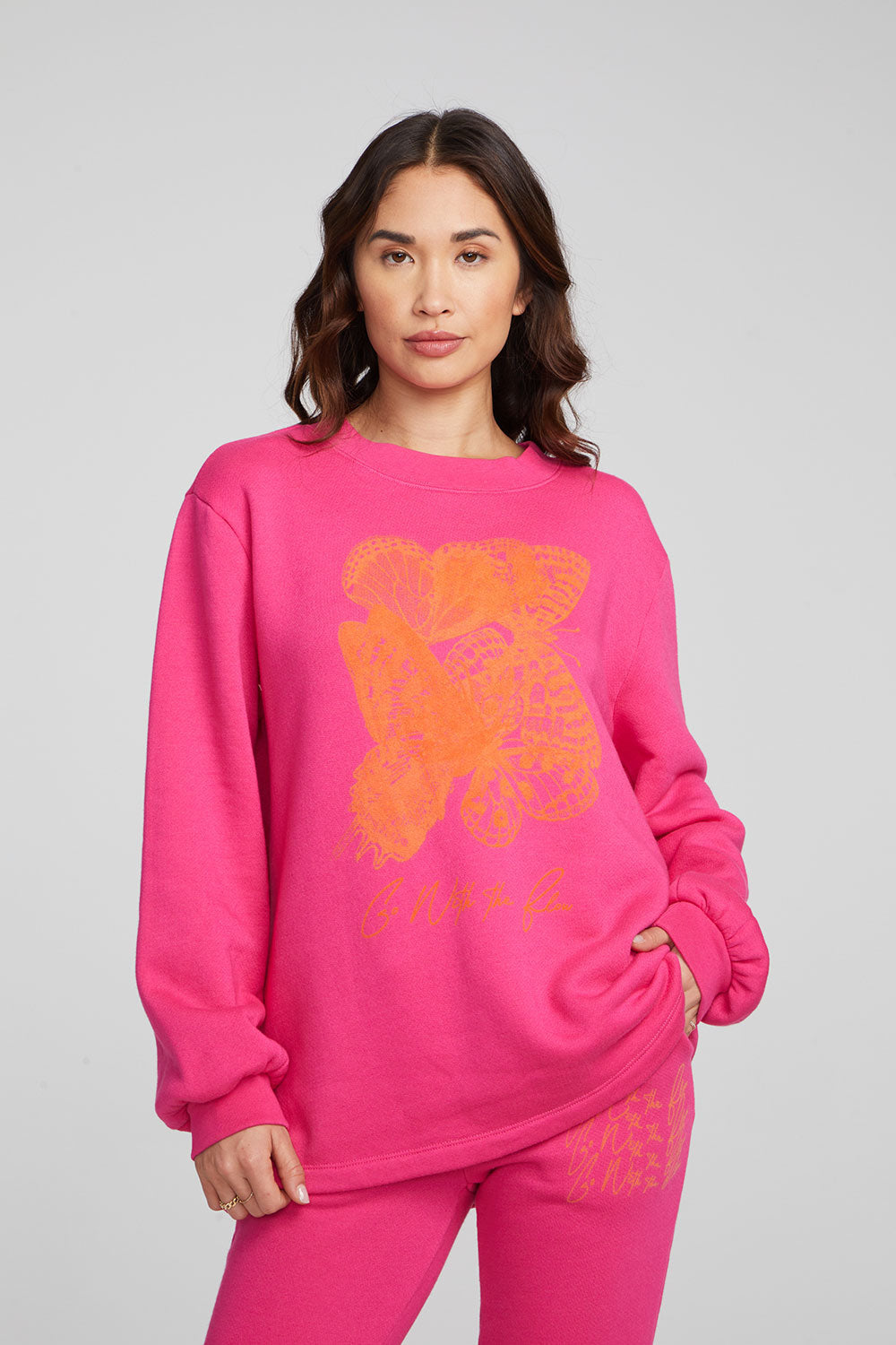Chaser Butterfly Flow Graphic